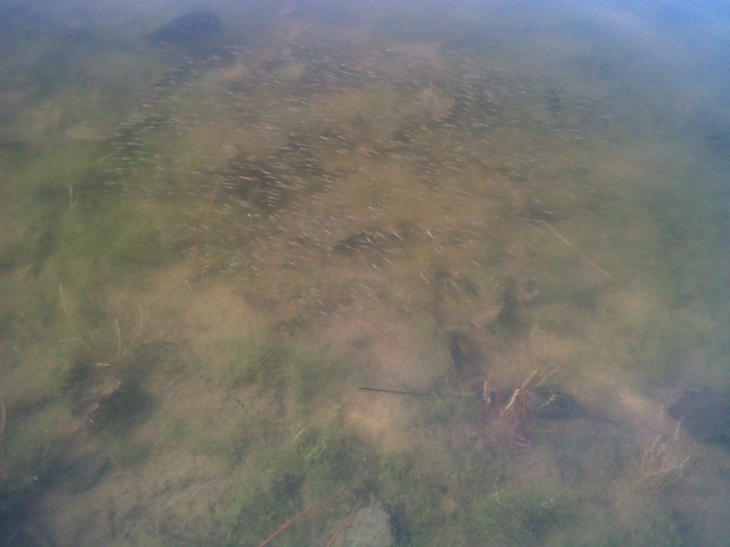 IMG00015 20100518 1916