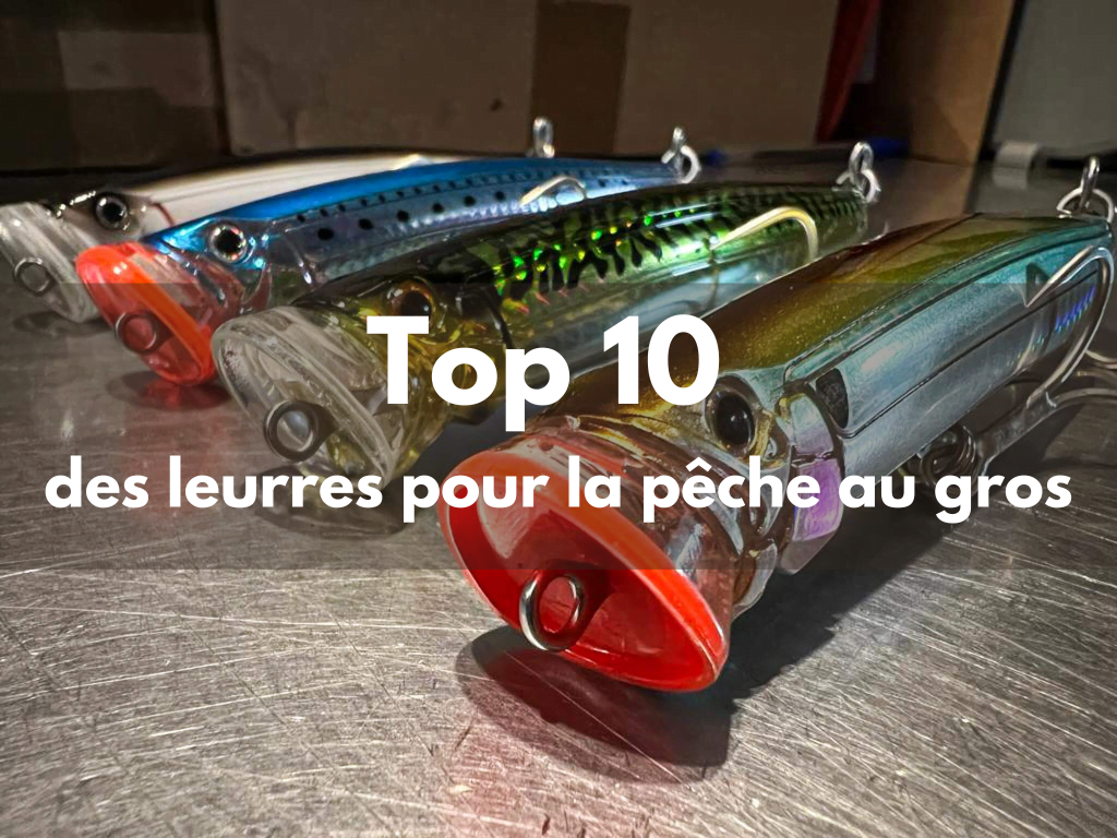Top 10 des leurres pour la pêche au gros