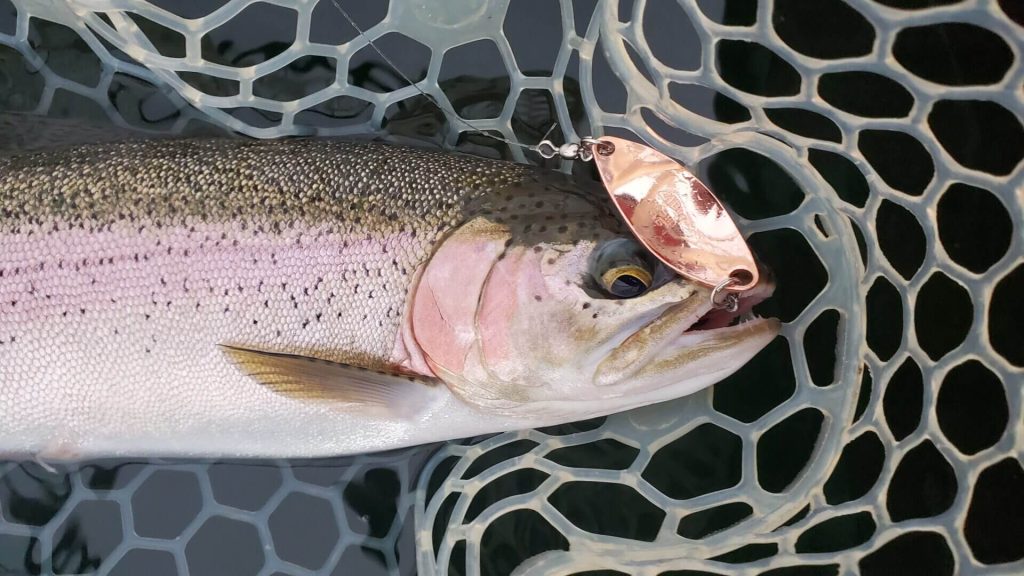 pêche à la cuiller