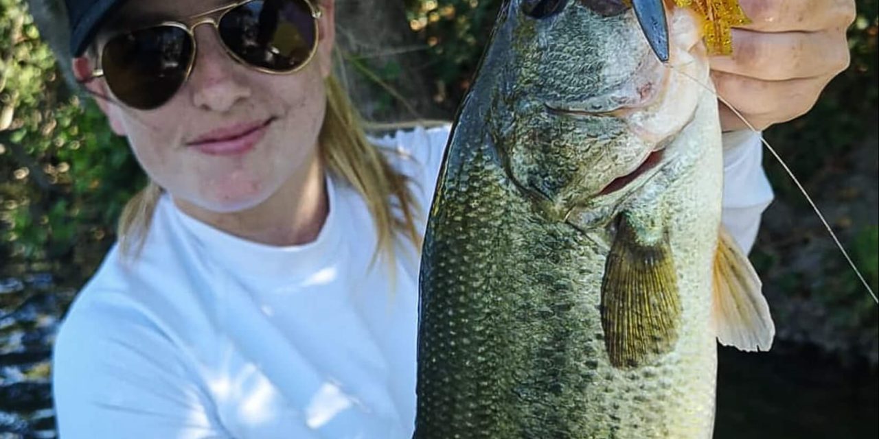 Comment faire un montage Texas Rig facilement ?