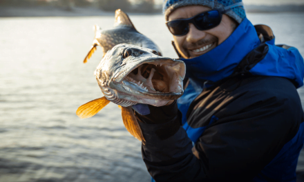 Comment pêcher le brochet en hiver ?
