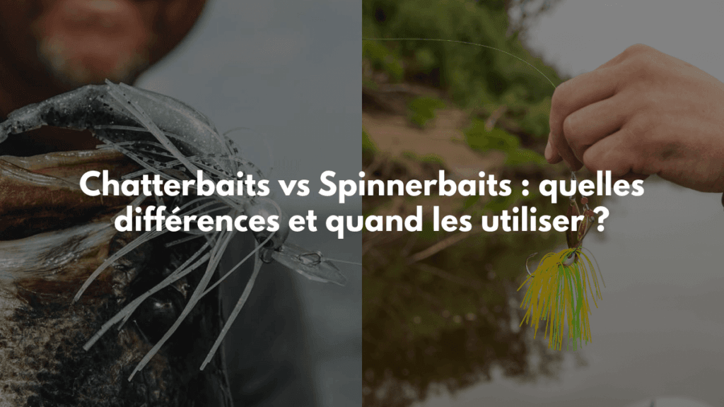 couverture de l'article différences entre un chatterbait et un spinnerbait