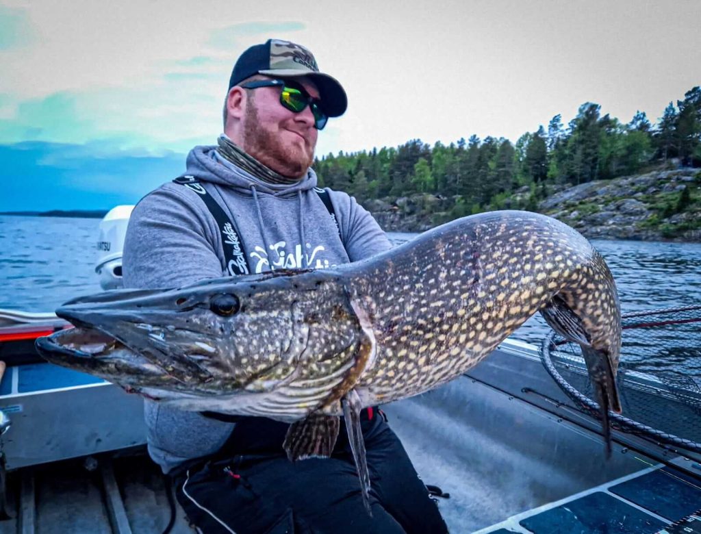 comment pêcher le brochet en automne