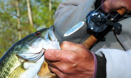 Les erreurs à éviter lors de la pêche à la cuillère