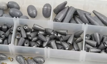 Interdiction du plomb à la pêche : impacts et alternatives