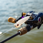 Comment pêcher le bar avec un popper ?