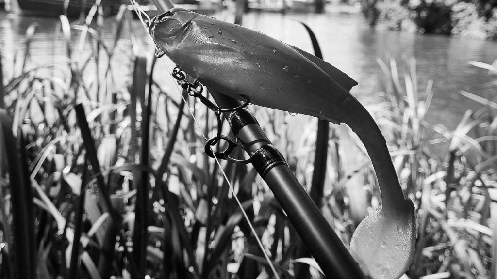 meilleures leurres digital squad fishing
