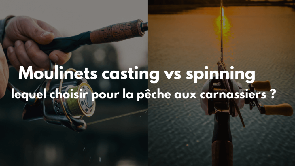 moulinet casting vs spinning