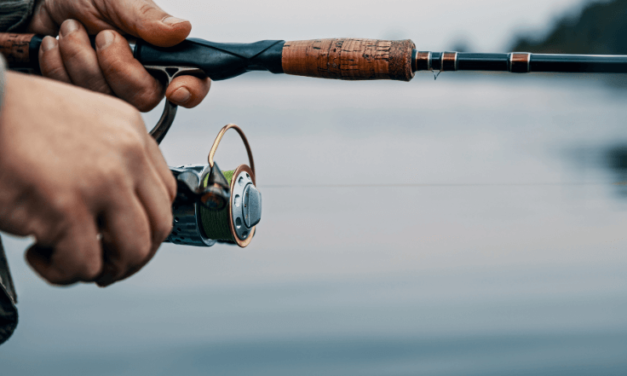 Pêche des carnassiers en intersaison : comment s’entraîner avant l’ouverture ?