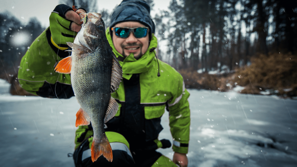pêche d'une perche en hiver