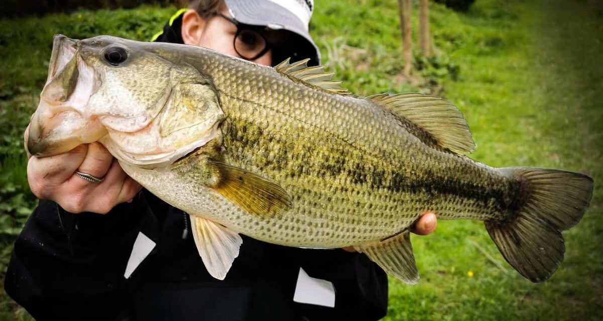 Comment faire un Montage Wacky Rig pour la pêche du black bass ?