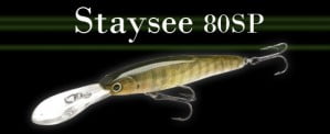 staysee80
